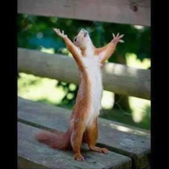 LIKE THIS FLYER to receive SHARE SHOW Notifications! Next Show: November 2025 - Picture 4 of 12